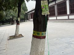 -赵州桥景区