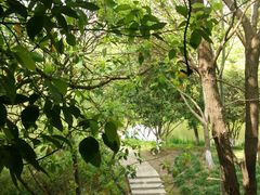 后花园-王之雄社区养生馆(上海春城店)