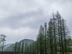 -广州市石门国家森林公园