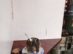 -達揚原味燉品(文明路店)