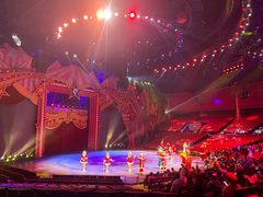 -珠海横琴长隆《卡卡虎奇遇记》