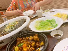 田园油生菜-一品粤珍轩(吴中路店)