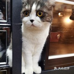 爬宠店是什么 aTxp8TWIw6lyVPhtErfc5FCgAek9kvKyv8_a2xXgWly1tiHoIFh7s4vj3i5usYHJuzFvxlbkWx5uwqY2qcjixFEuLYk00OmSS1IdNpm8K8sG4JN9RIm2mTKcbLtc2o2vfCF2ubeXzk49OsGrXt_KYDCngOyCwZK-s3fqawWswzk.jpg