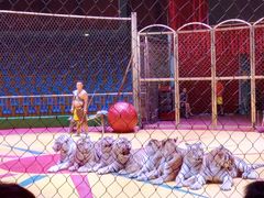 -西安秦岭野生动物园