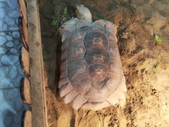 -上海大自然野生昆虫馆(东方明珠·爬宠昆虫探索中心)