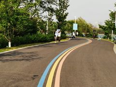 -羊山湖公园
