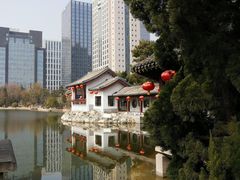 -团结湖公园