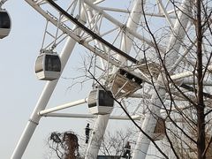 -祥源·阜阳生态乐园