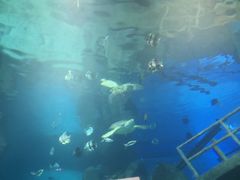 -福州罗源湾海洋世界旅游区