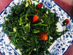 炝拌灰灰菜-照金特色农家乐