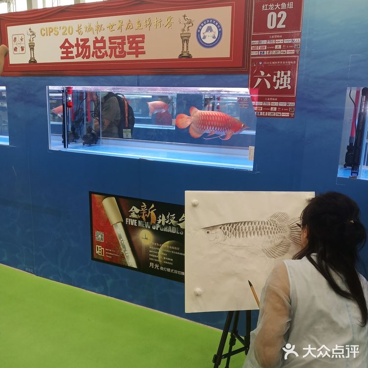 宠物展也太好吸猫撸狗了！[亲亲][亲亲][亲亲]