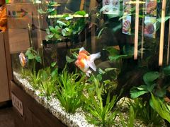 -大家乐(广州荔湾领展广场店)