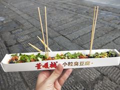 -董顺桃小粒臭豆腐(太平街一店)