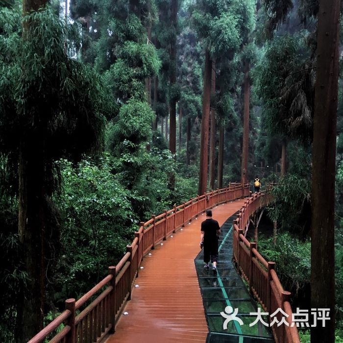 峨眉山七里坪森林栈道景区