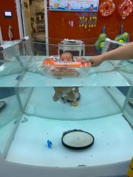 -海豚啵啵体智能游泳馆(惠山万达广场店)