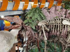 -河南自然博物馆