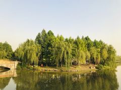 -自然谷恐龙园