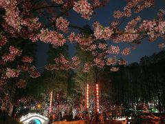 -东湖磨山景区