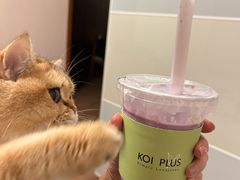 -KOI PLUS(成都万象城店)