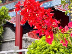 -南沙天后宫景区