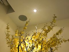 -小茶闲舍·观景商务茶馆(广州塔店)