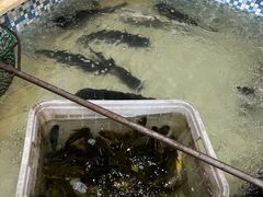-锅老头铁锅炖•大锅蒸汽海鲜(韩乐坊店)