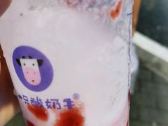 -一只酸奶牛(时代天街A馆店)