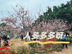 -聚龙山公园