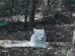 -乐和乐都主题乐园