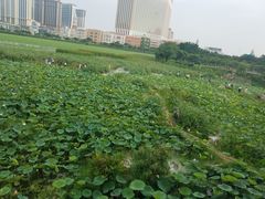 -龙环葡韵住宅式博物馆