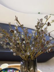 -VE专注问题肌·赛诺龙&科学美肤中心