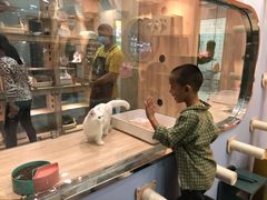 -BABIT巴比特宠物(MOMOPARK店)