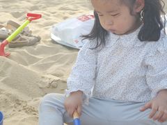 -青枫公园