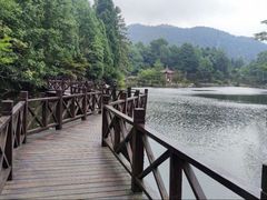 -四明山国家森林公园
