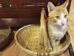 -凡烟外慢生活体验馆