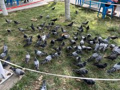 -伊犁老城喀赞其民俗旅游区