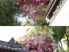 -竹子林(地铁站)