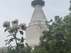 -火火咖啡&茶空间