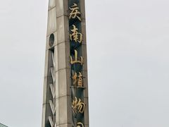 -南山植物园