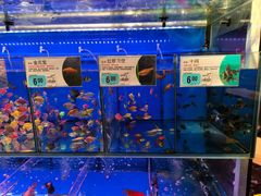 -大润发(花都店)