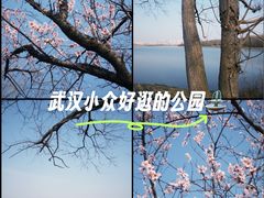 -盘龙城国家考古遗址公园