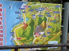 -西霞口神雕山野生动物世界