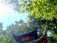 -岳麓山风景名胜区