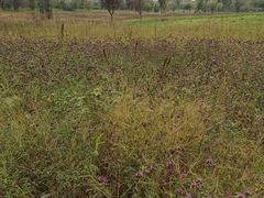 -汉长安城未央宫国家考古遗址公园