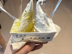 -野人先生现做冰淇淋(深圳壹方城店)