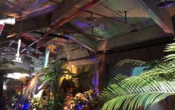 -恐龙探索乐园(磁器口店)