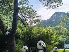 -柳州市动物园