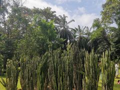 -中国科学院西双版纳热带植物园