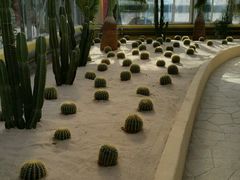 -南宫五洲植物乐园