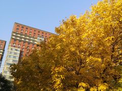 -北京市海淀区翠微小学